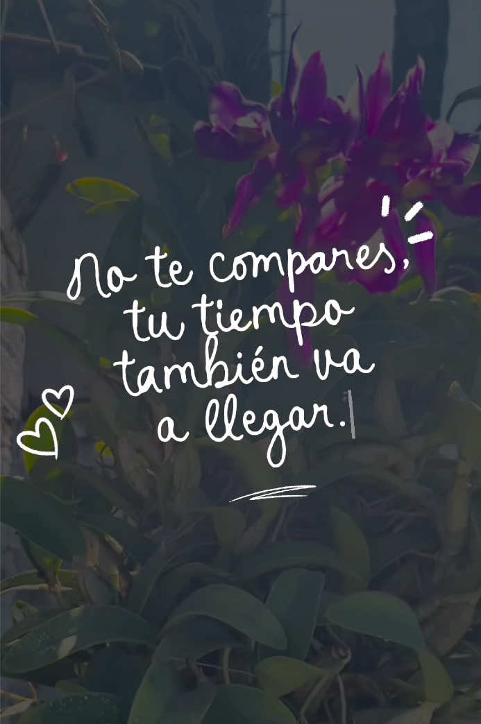 @MARIELA