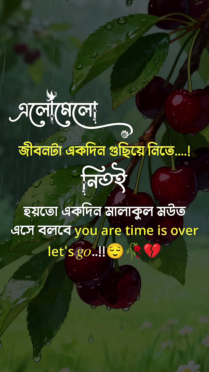 @user8123701182915. jan pakhi