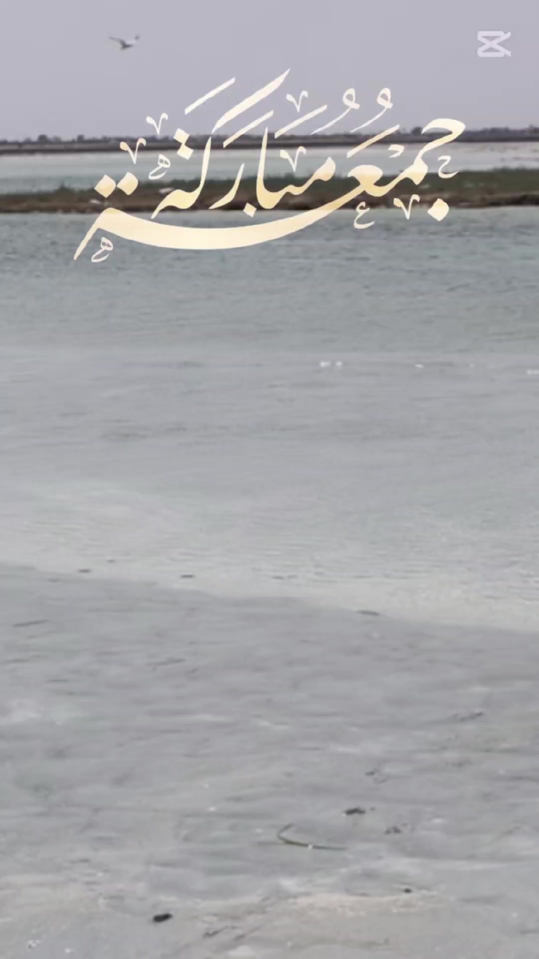 @With Yosra _ مع یسری