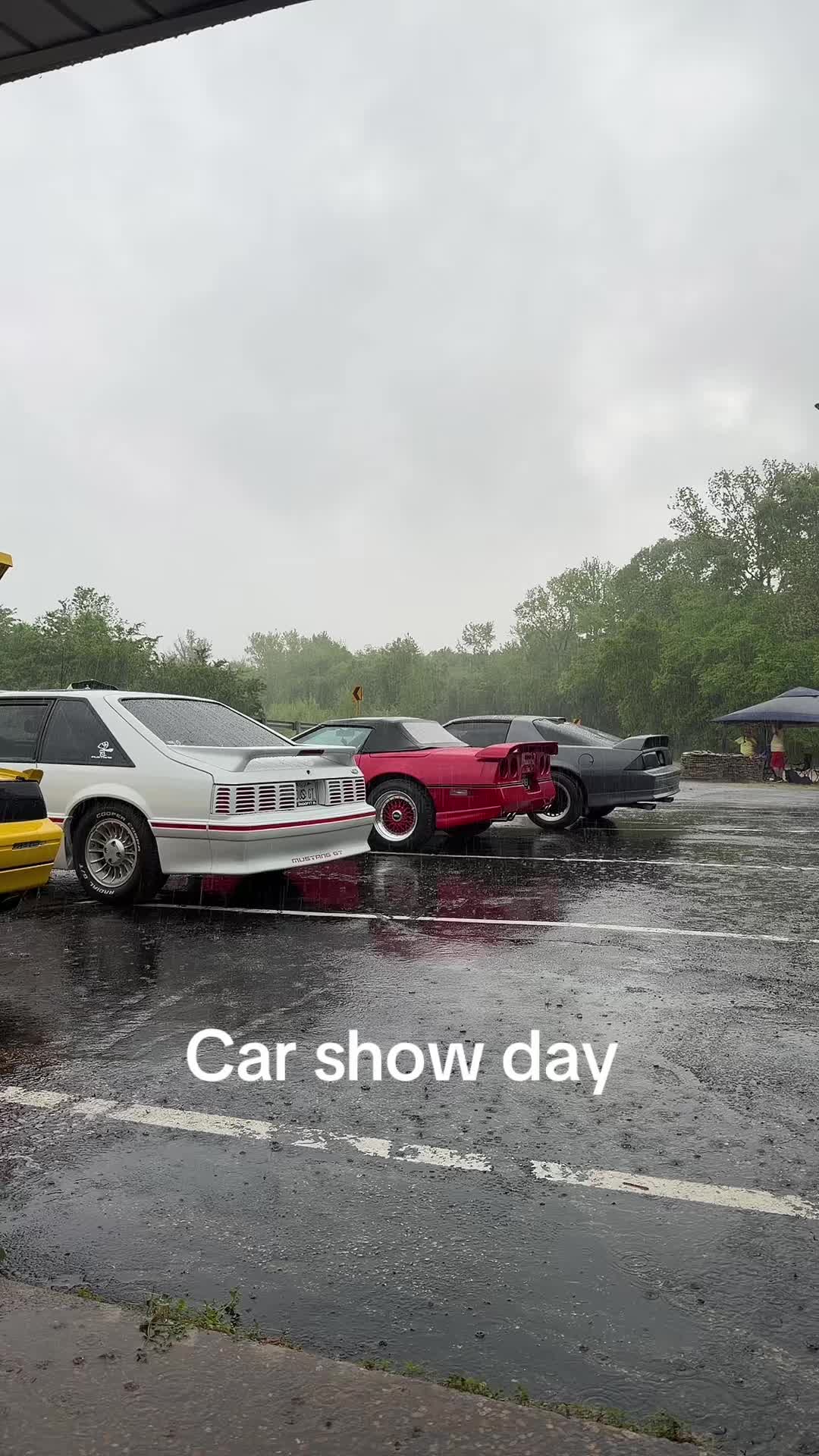@🦊GTfoxbody5.0🍑🌛