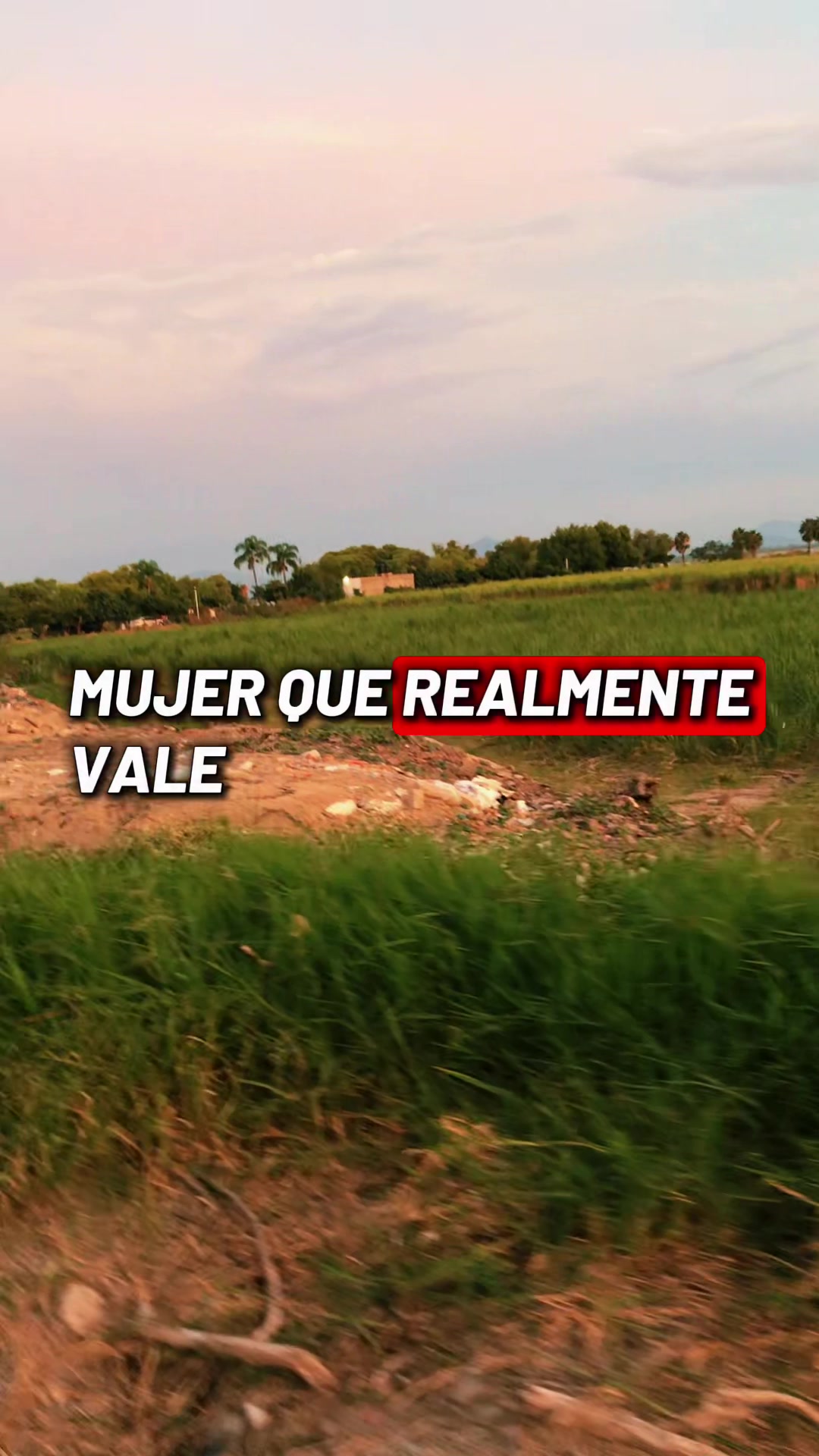@DANY ALEX