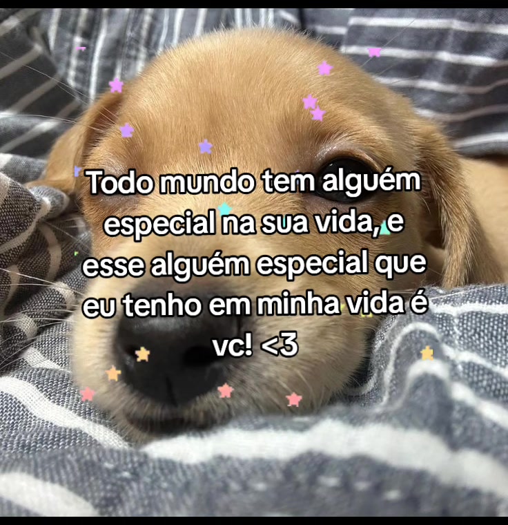 @Lari
