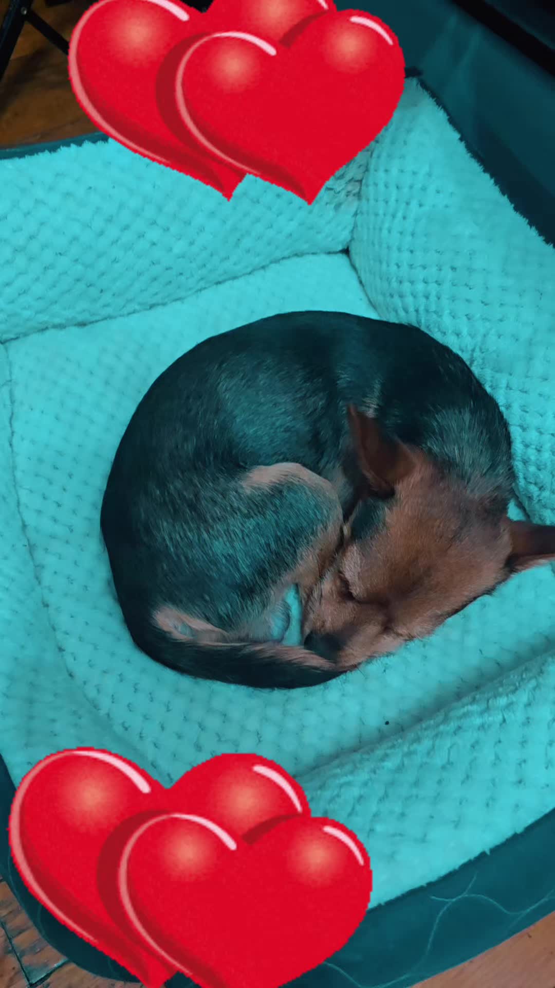@Yudislantigua