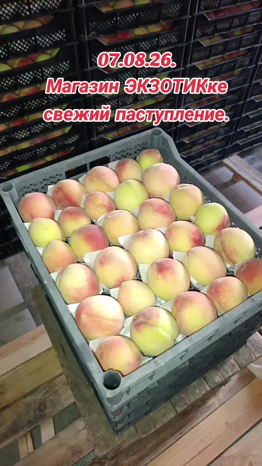 @ЭКЗОТИК ҚАРАБУЛАҚ