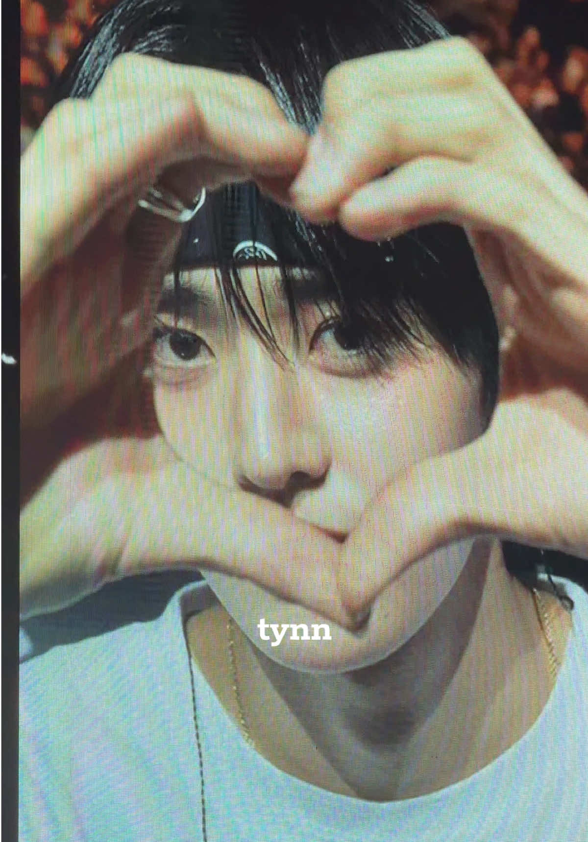 @Tynn 🐹