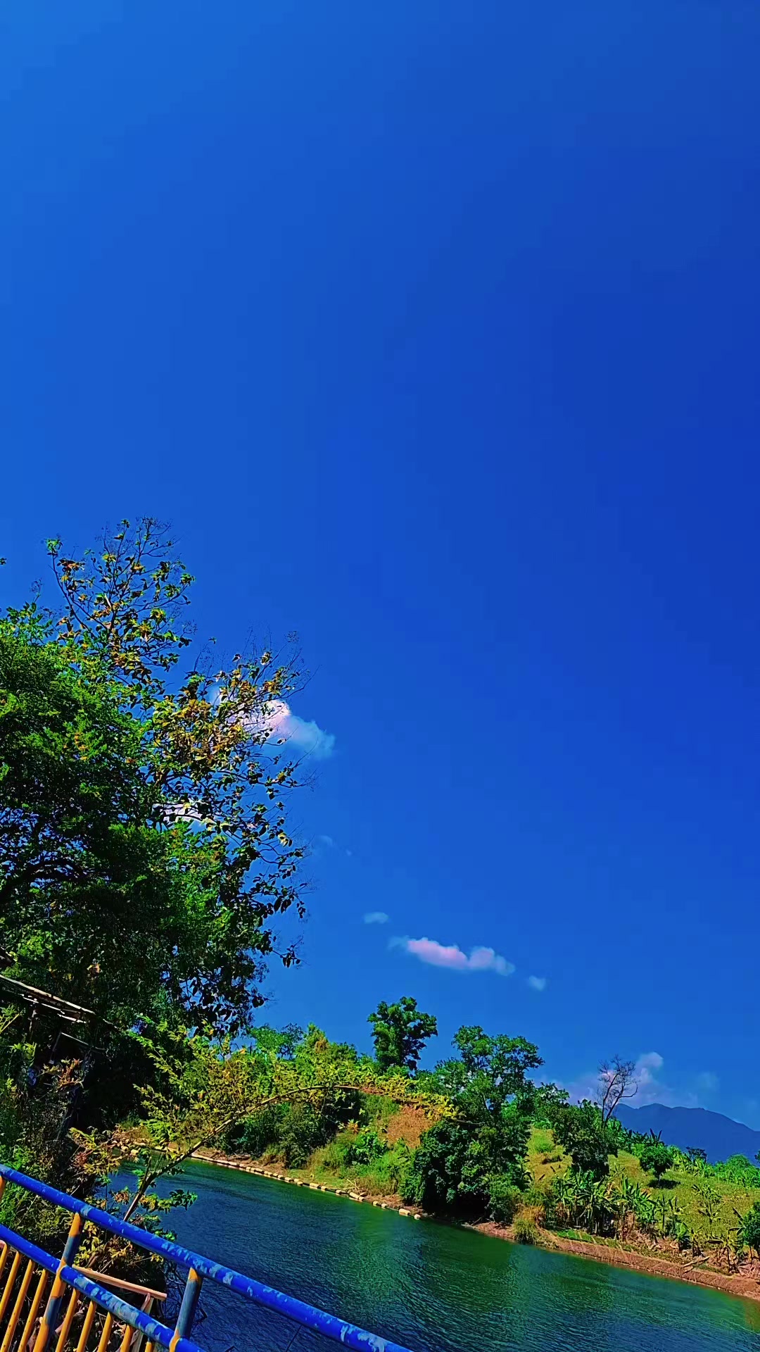 @𝐌𝐑 𝐋i𝔼𝐌