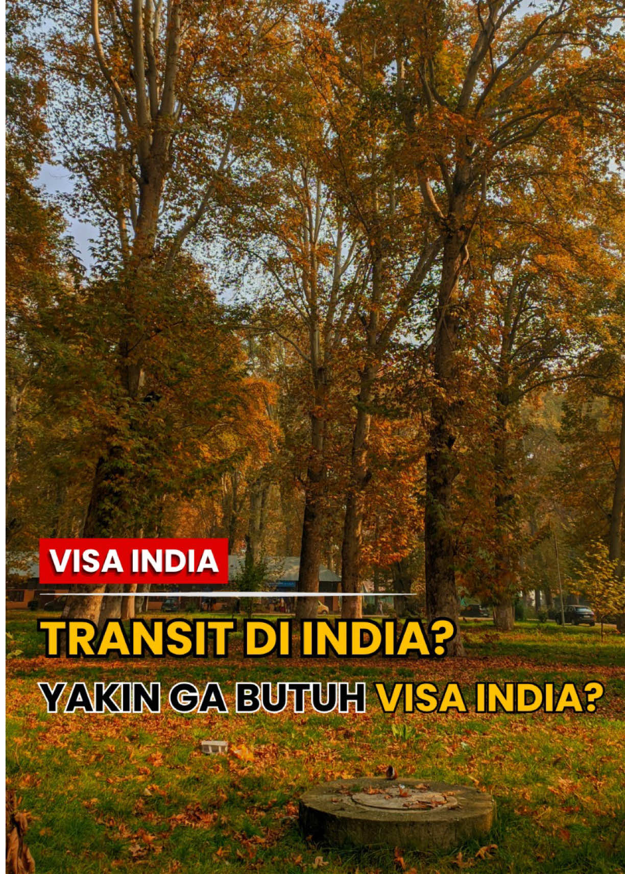 @TRAVEL TRIP KASHMIR INDIA