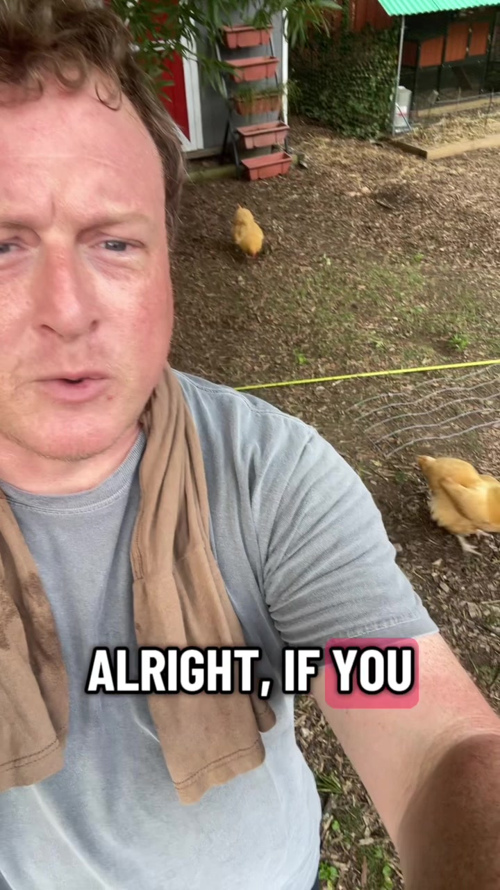 @orion.eternal