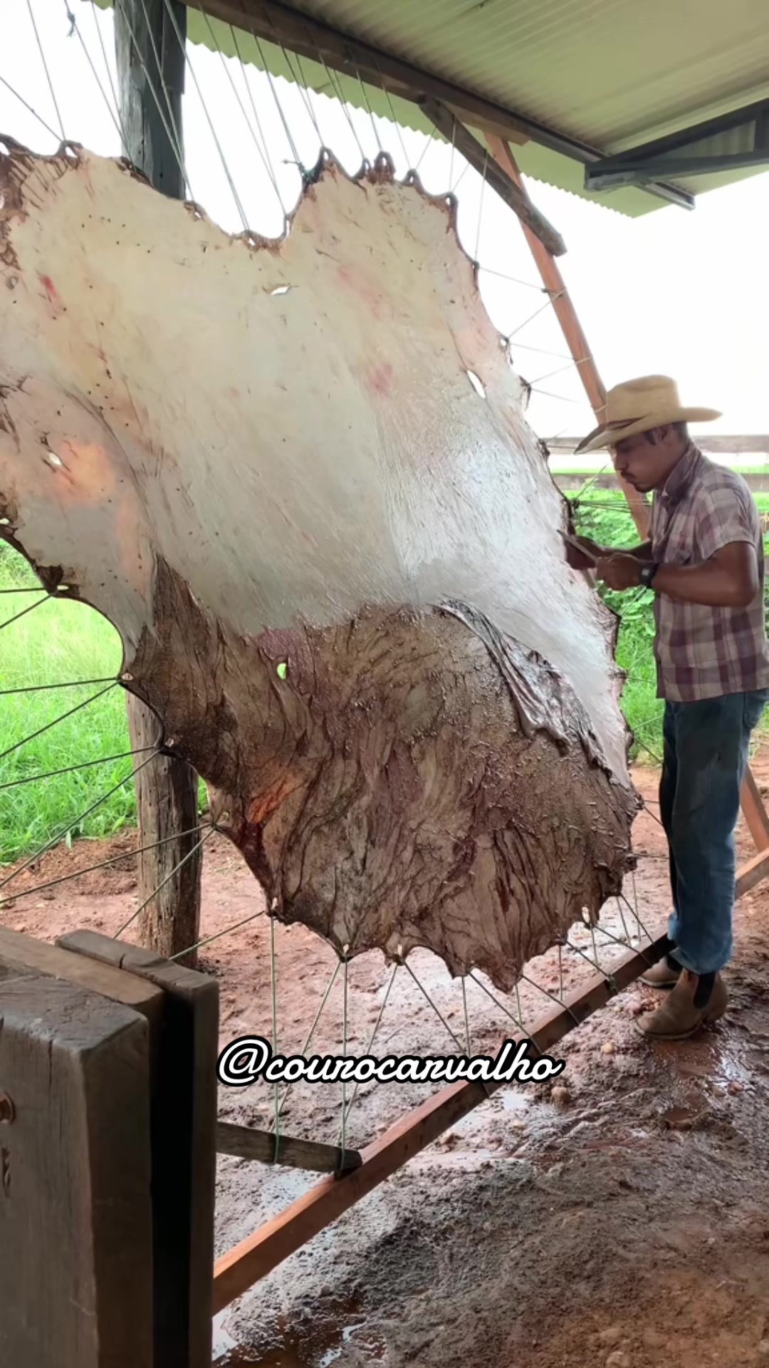 @José Vitor Carvalho