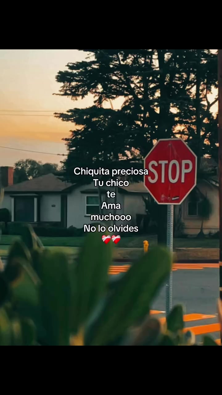 @☆.Đ&yen;.☆.