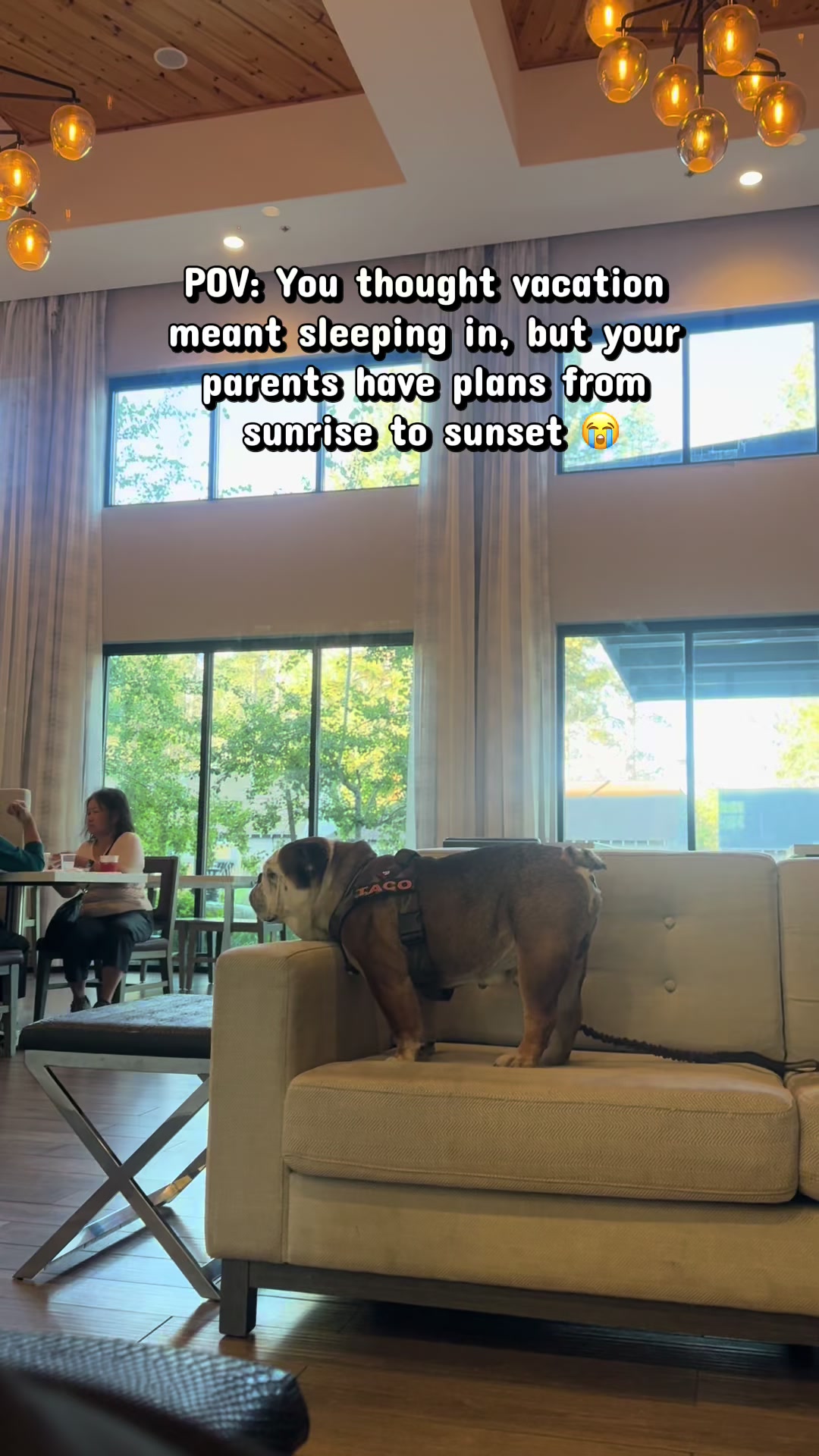 @Taco 🐶🧿
