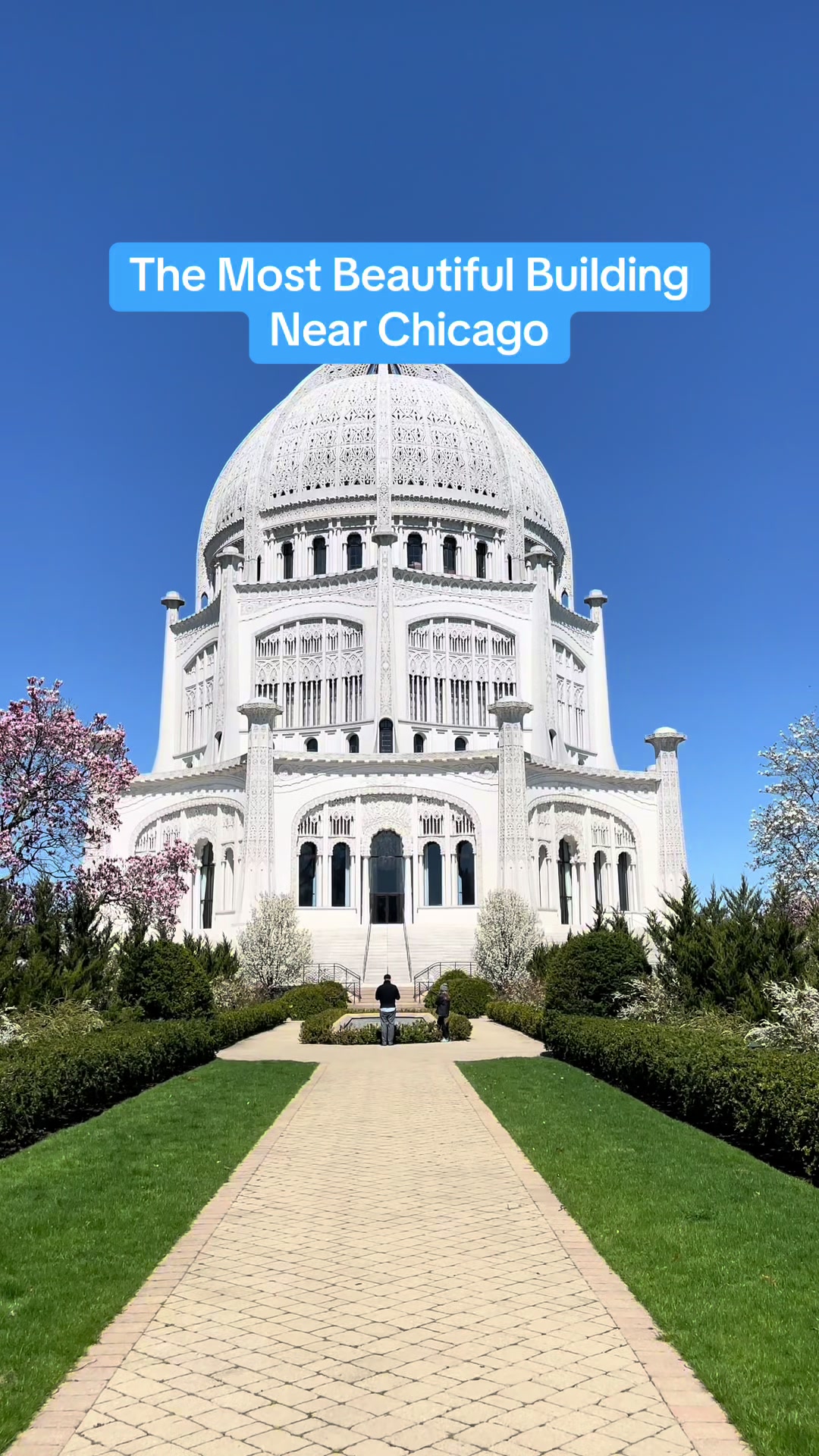 @Bored in Chicago