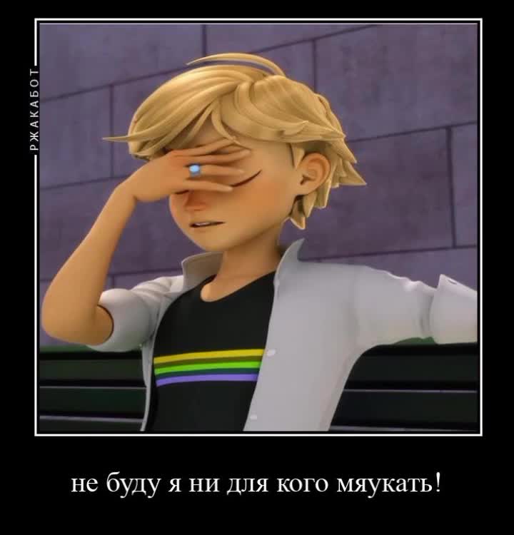 @♡&bull;любитель&bull;♡