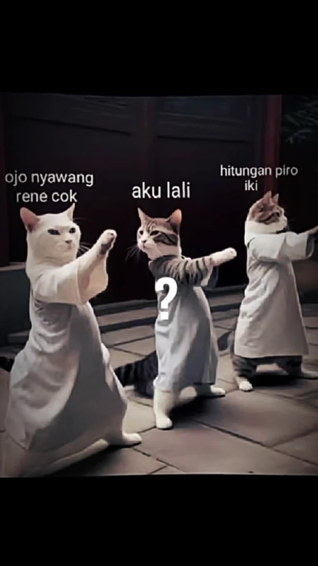 @fndkaaa