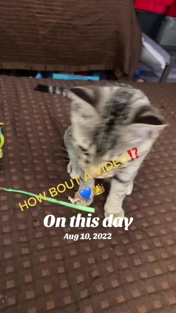 @SнєAиgєL&hearts;️💫