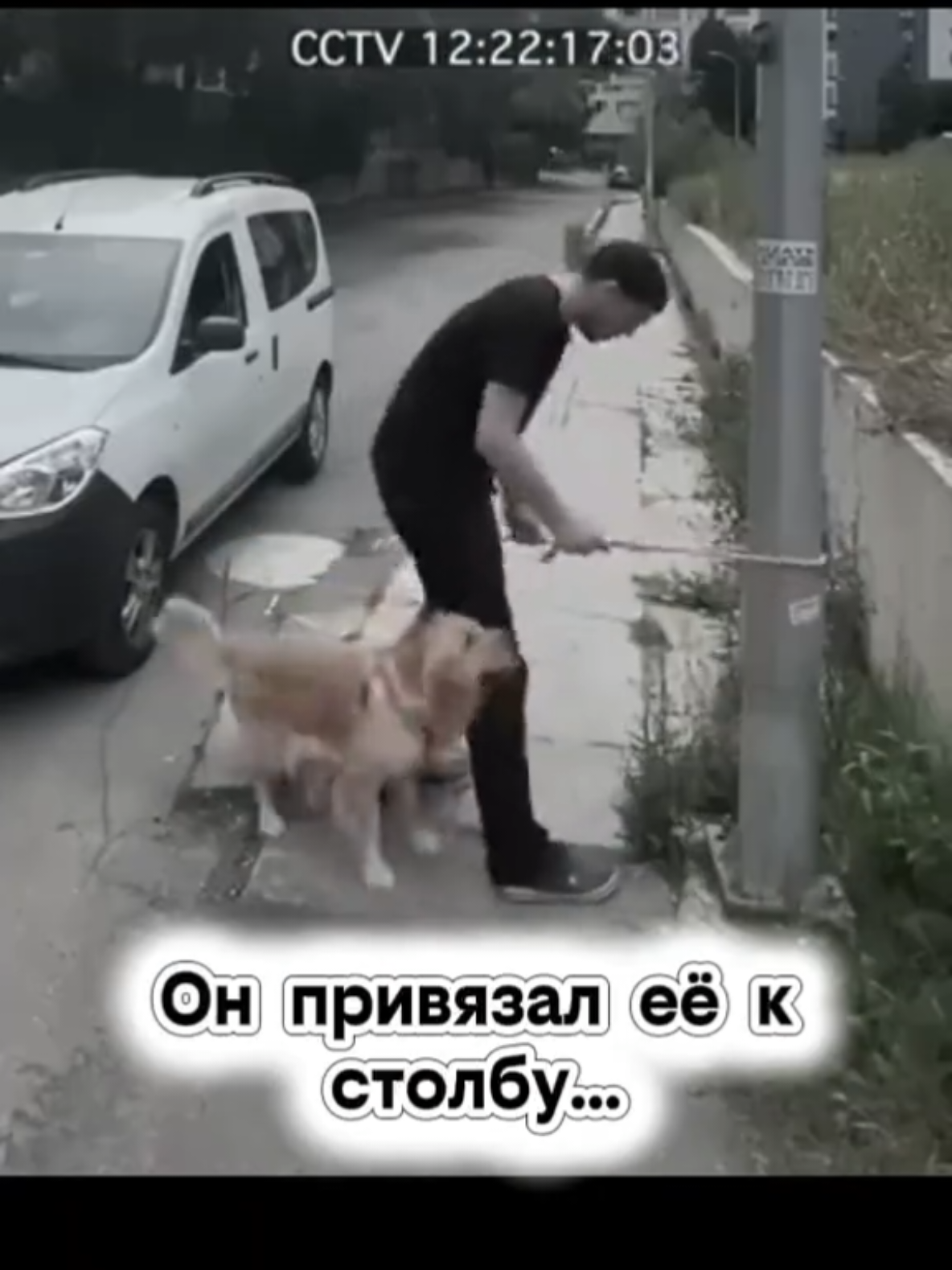 @RescueAnimals Nir