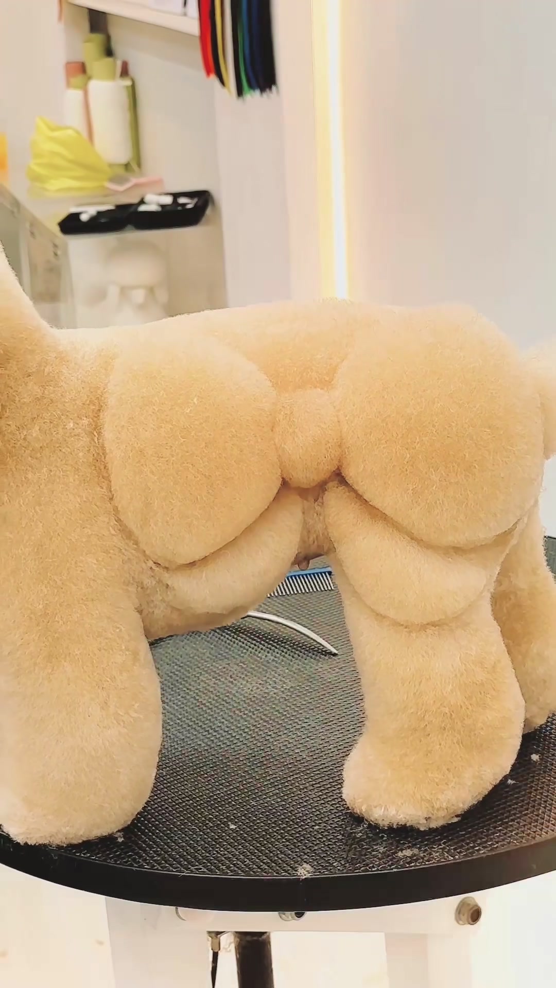 @TuongVan Petstylist