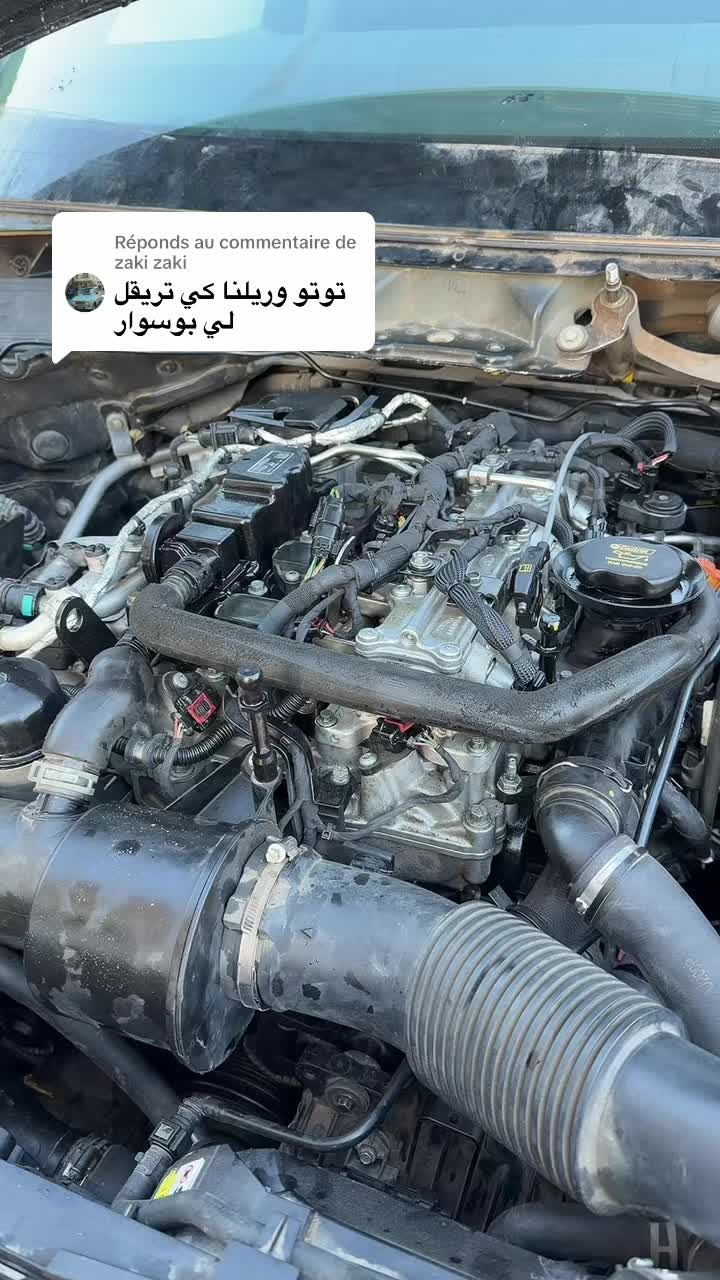 @toutou rangerover