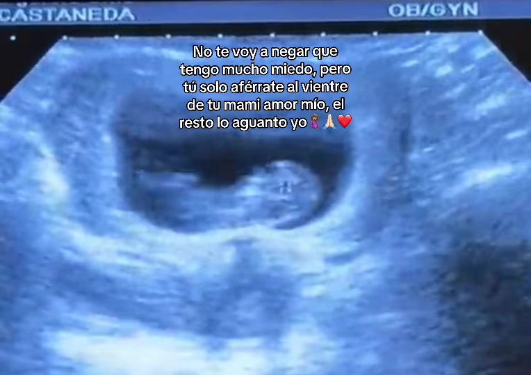 @Fernanda Lara❤️
