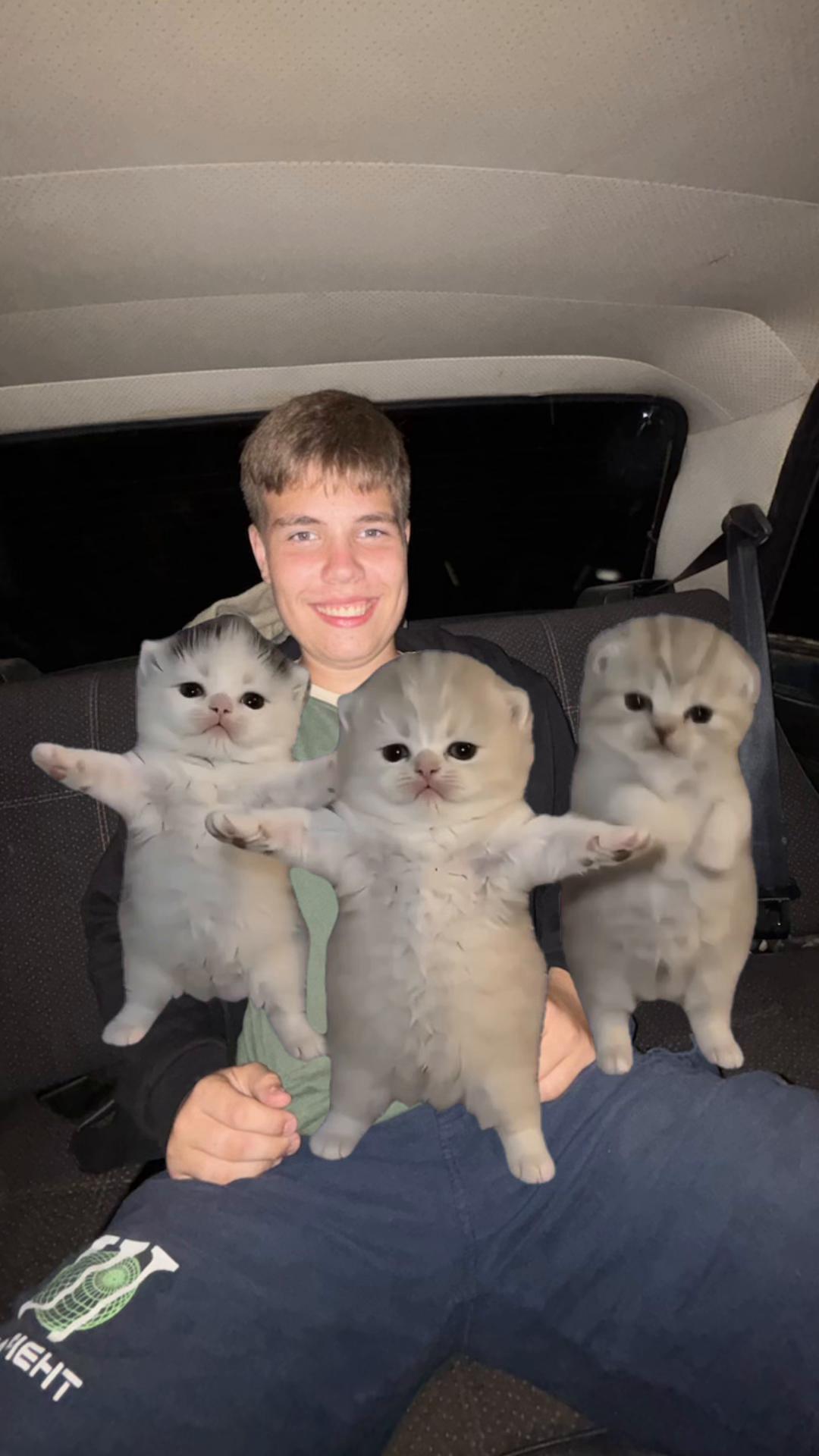 @аНимЭ_псИх_дАтЭбаЁ✅✅✅