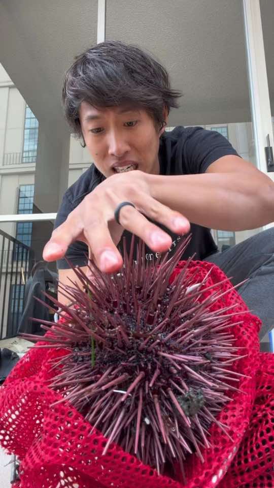 @JP