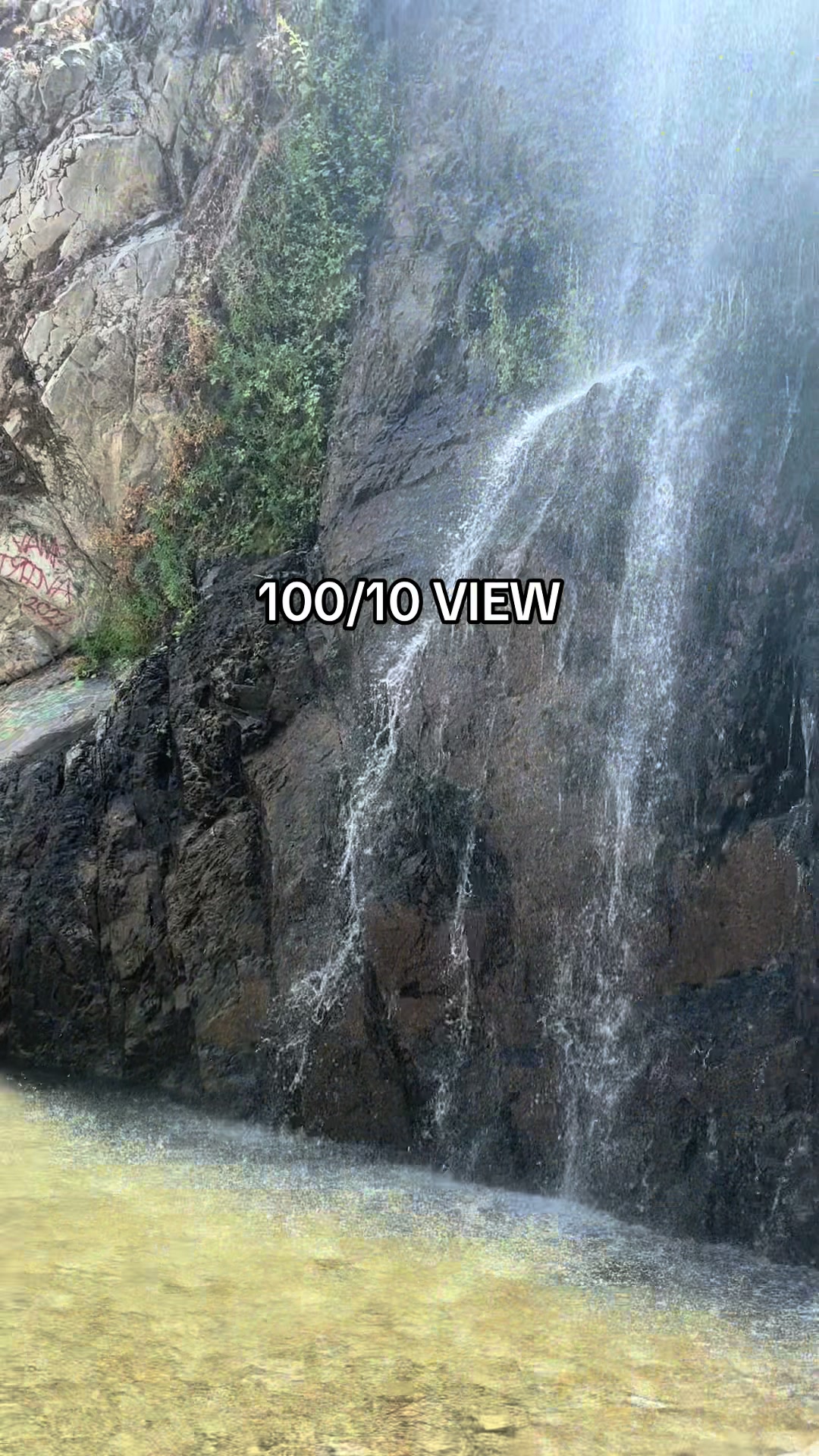 @ANITA🐝