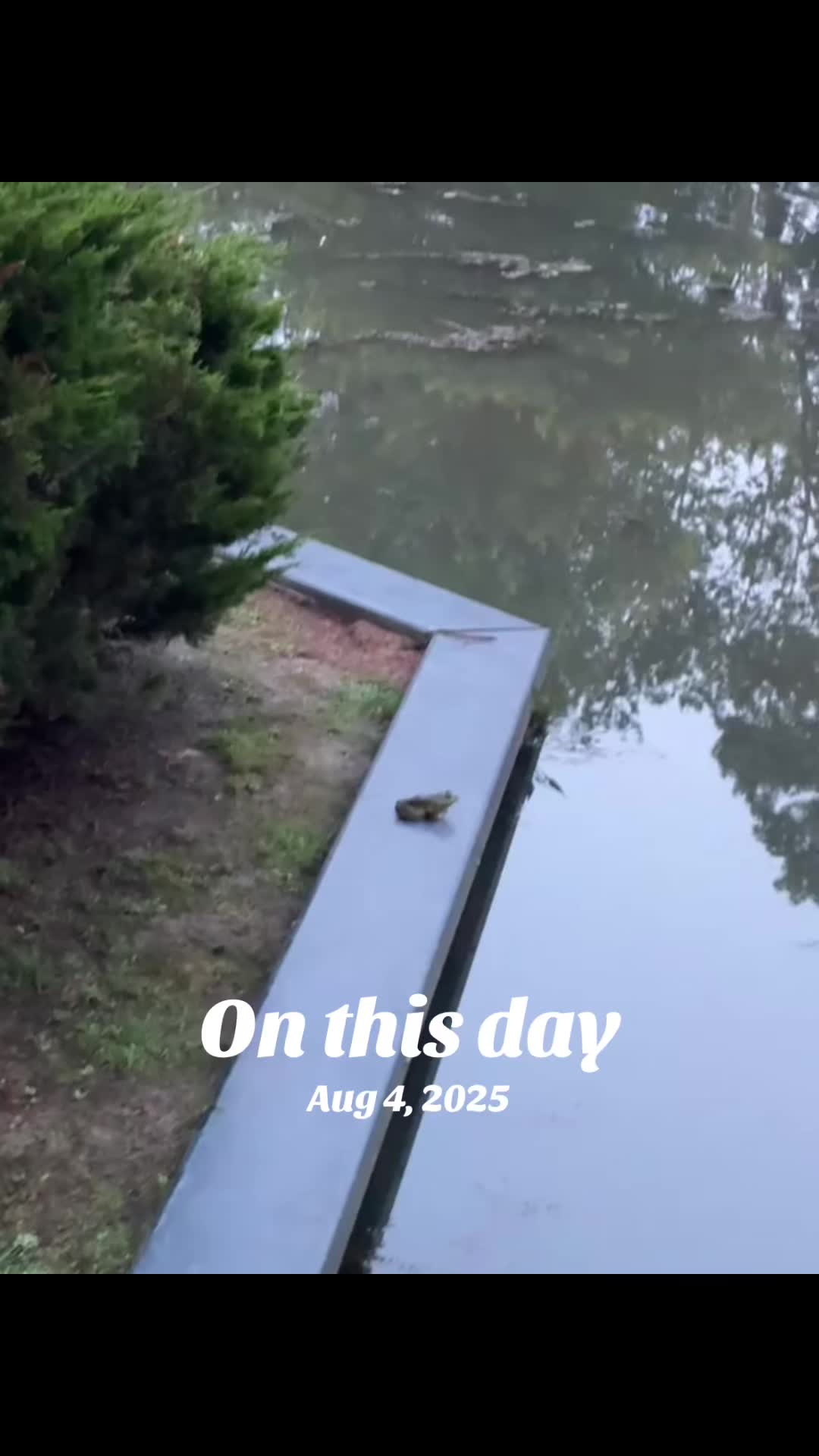 @BLOLIVERTUFFKID1