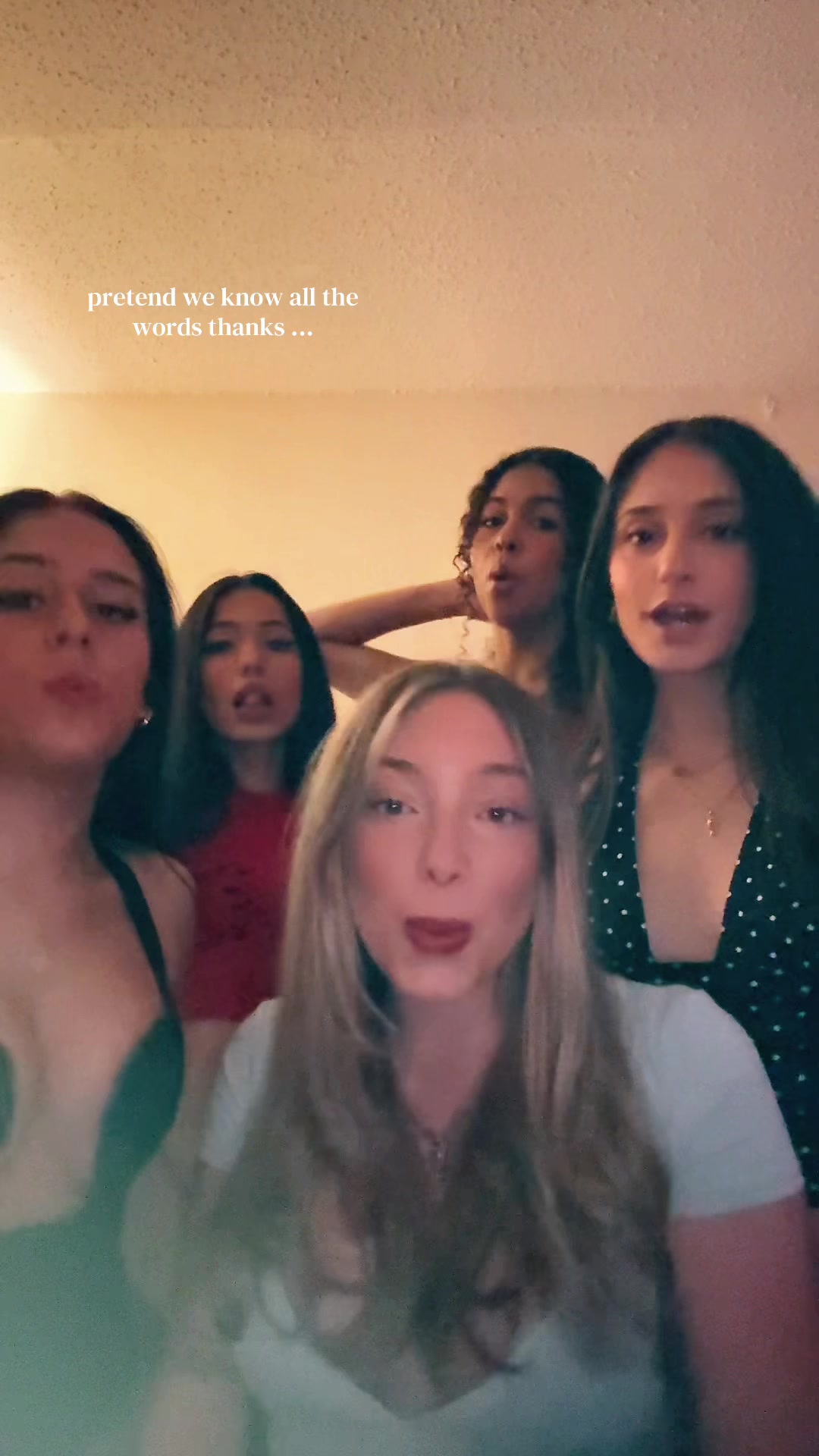 @bellaserp