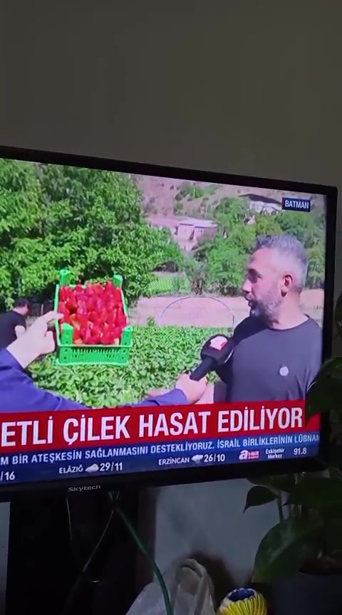 @gökhan basıc