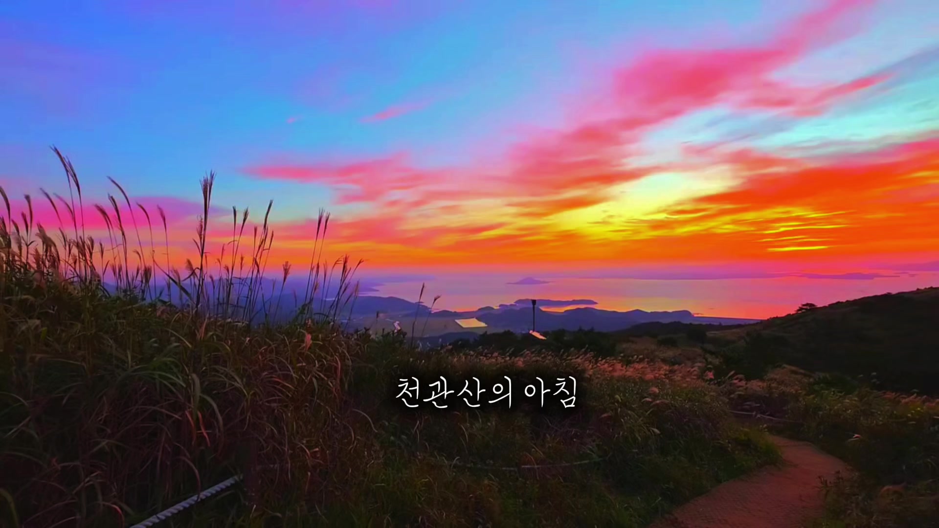 @유니