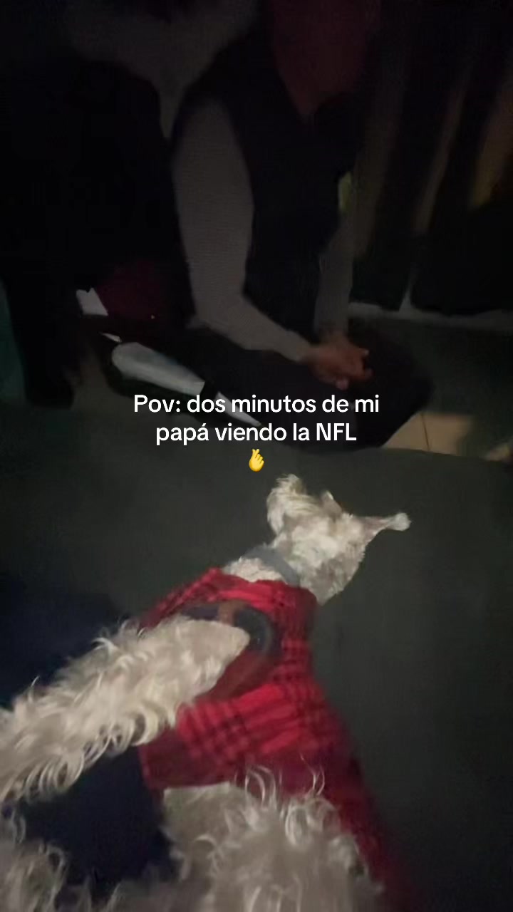 @nanniiis_