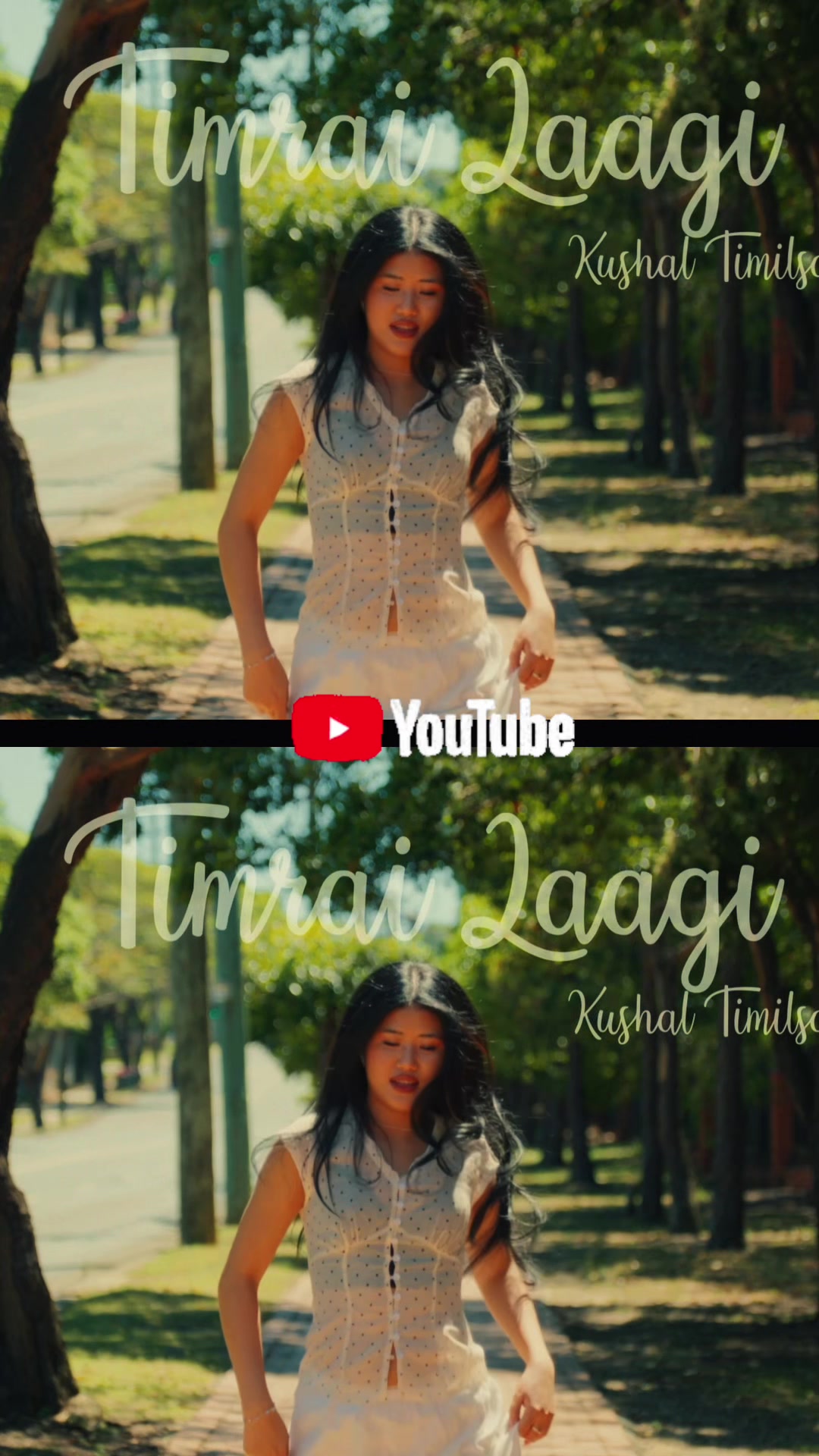 @Kushaltimilsena