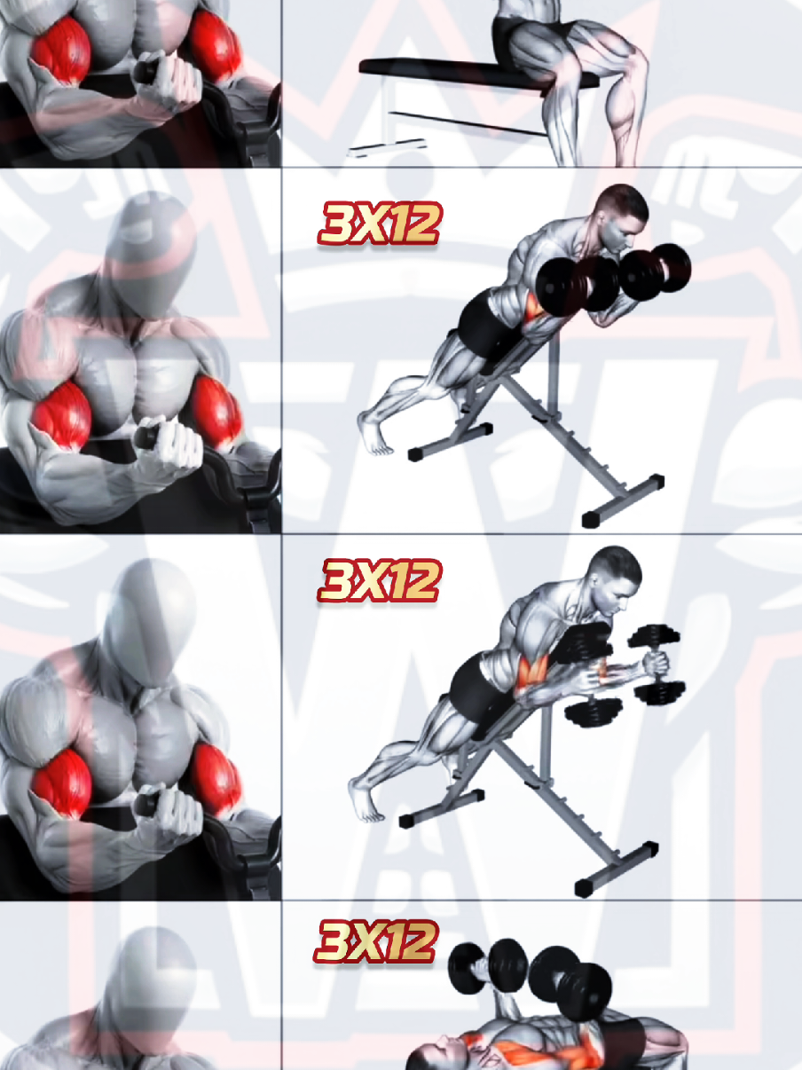 @Workout