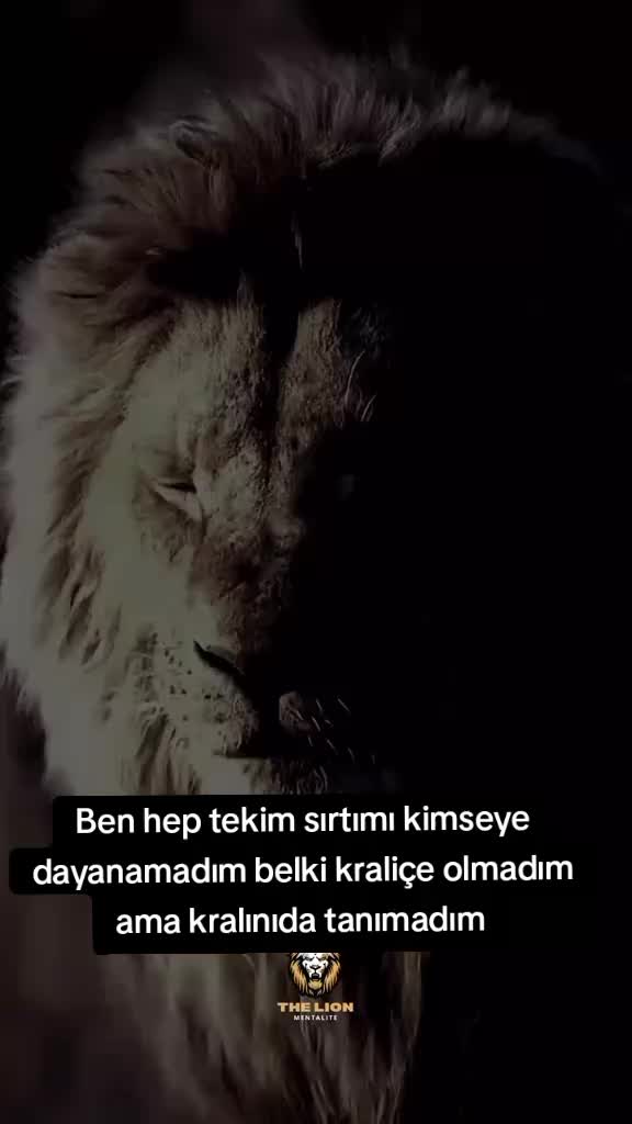 @🇹🇷ʜᴀʀʙɪ̇ ᴛᴜ̈ʀᴋ ᴋɪᴢɪ🇹🇷Ⓜ️🧿
