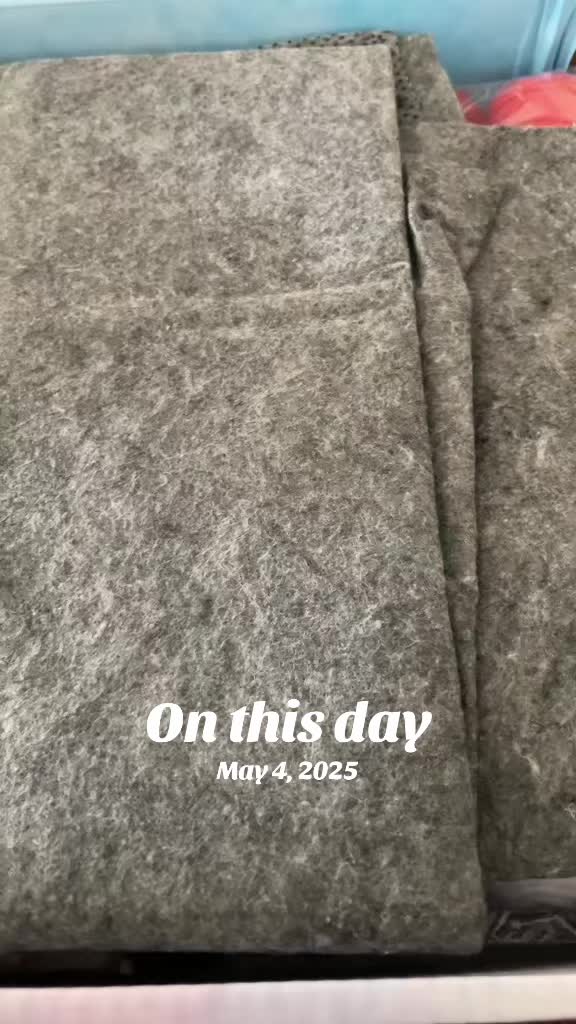 @rugsbyshark