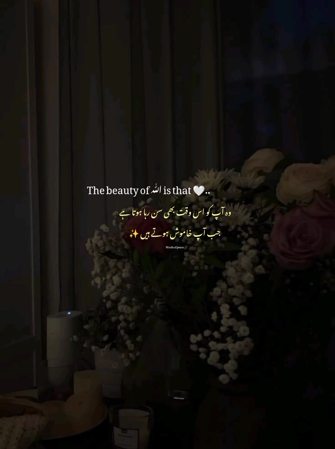 @قلم کی نمی🥀