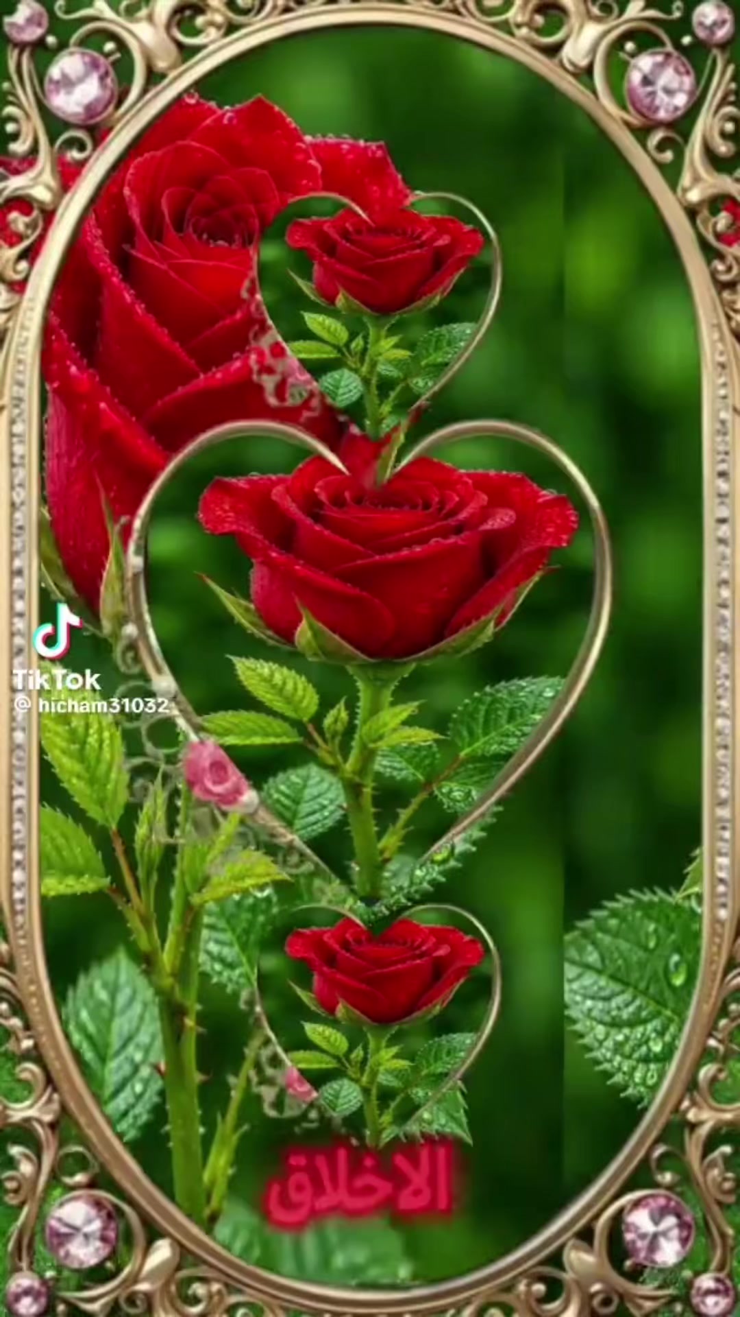 @UMMUU QERROo๐
๐