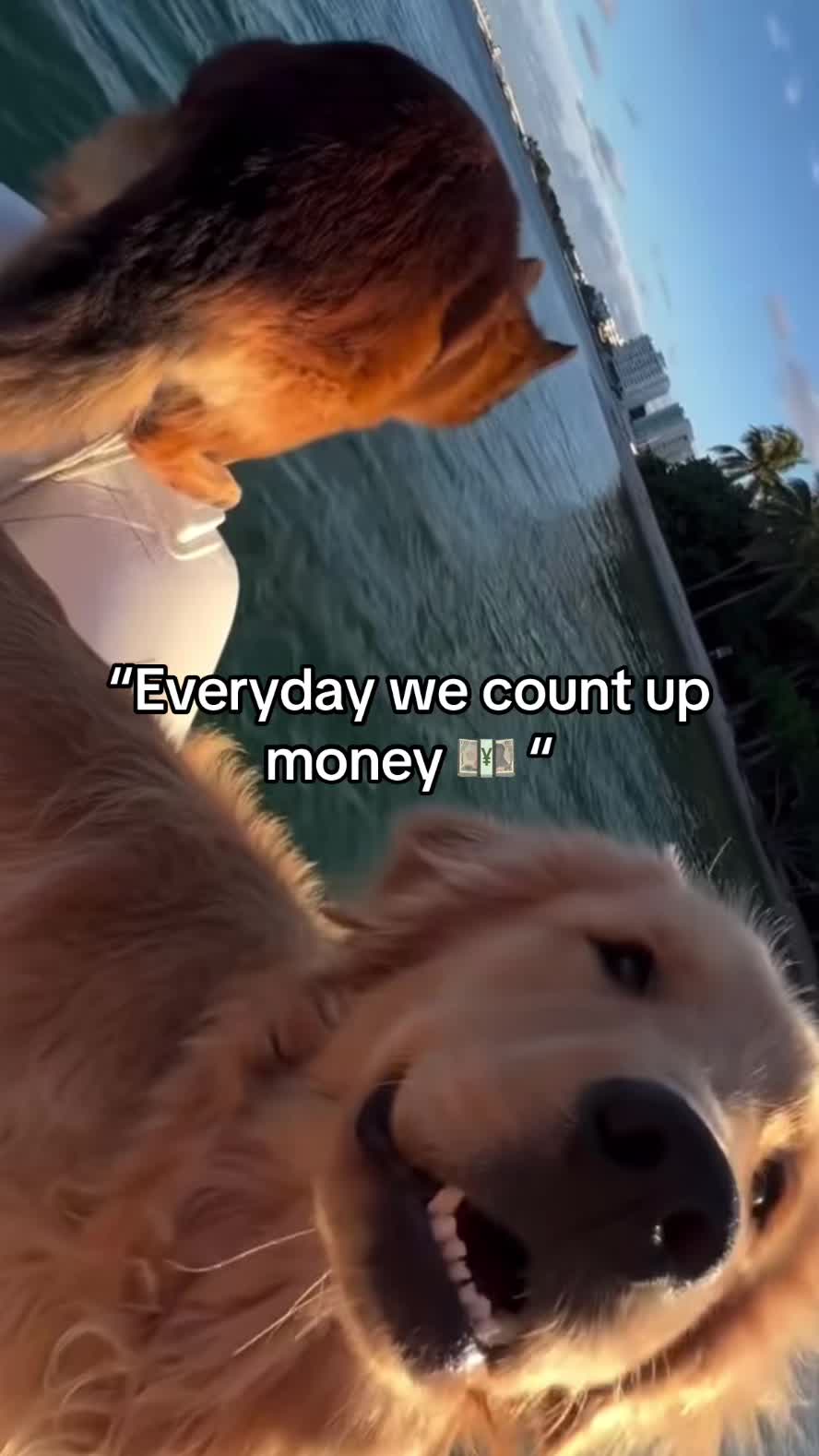 @donsmokeyy