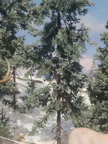 @Dakota
