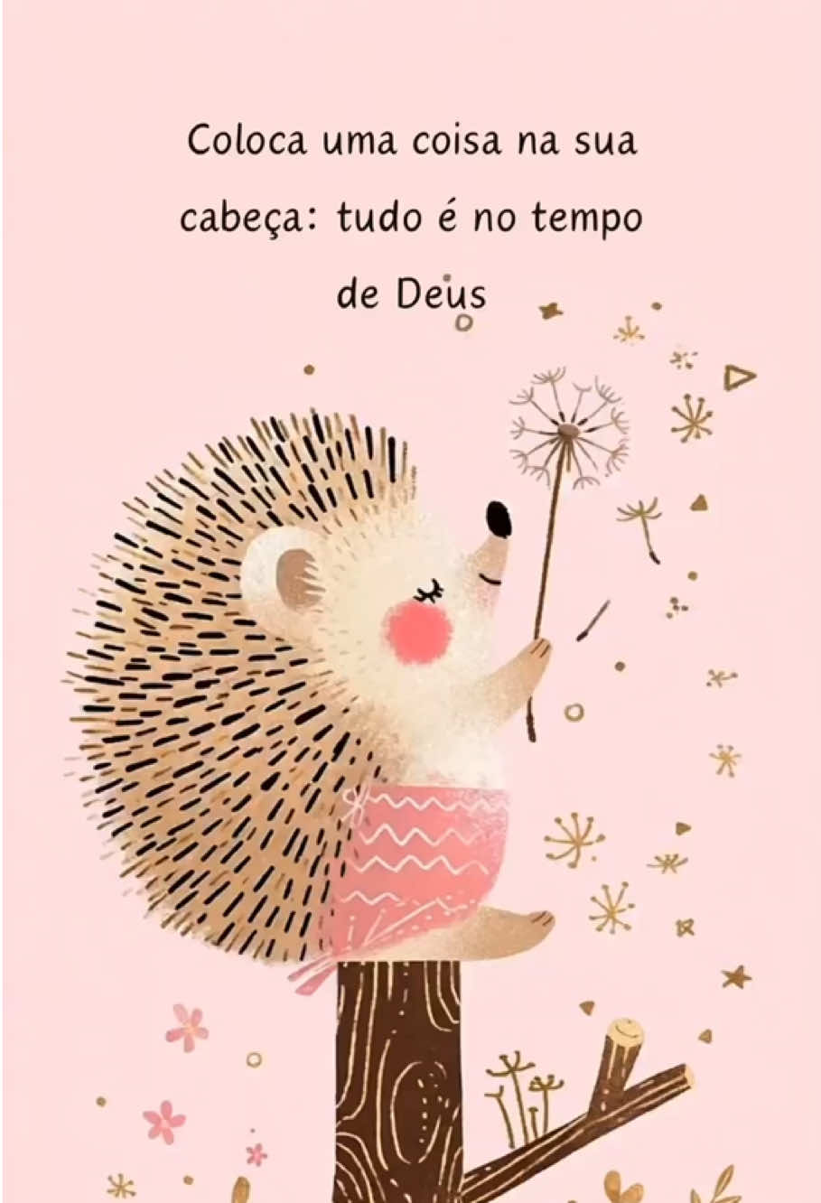 @Pensamentos e Reflex&otilde;es