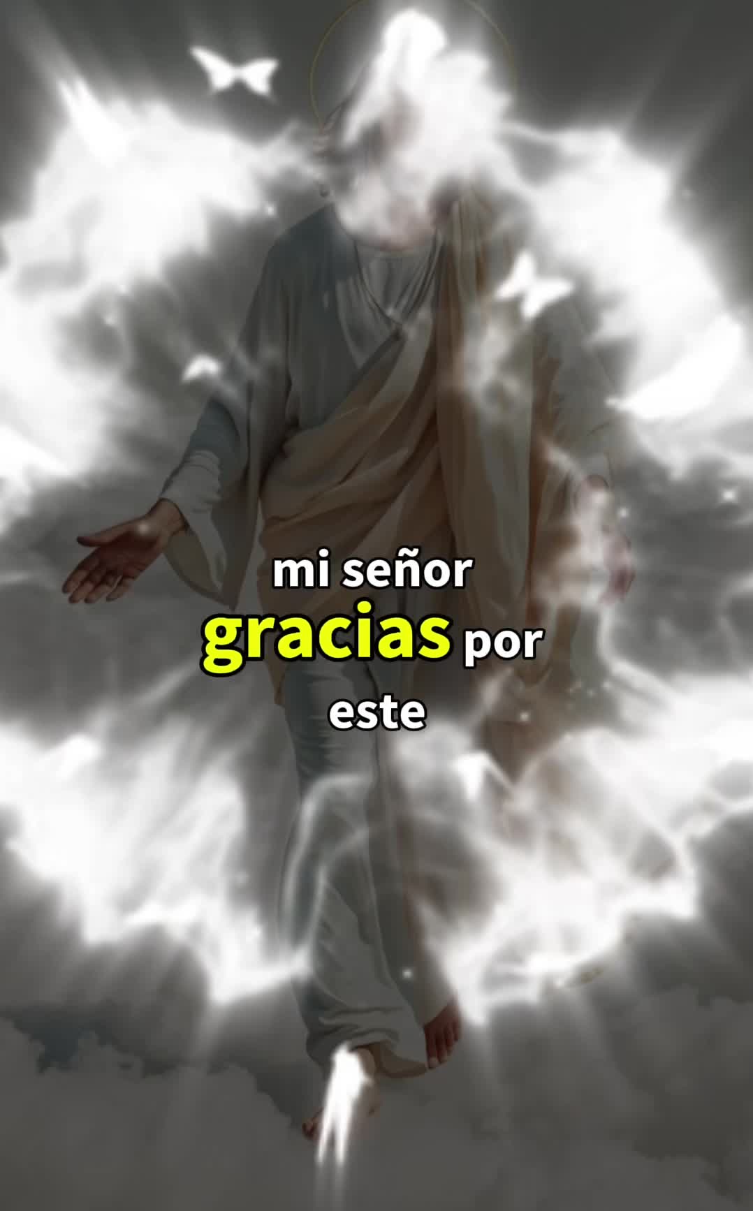 @elrosariodecadadia