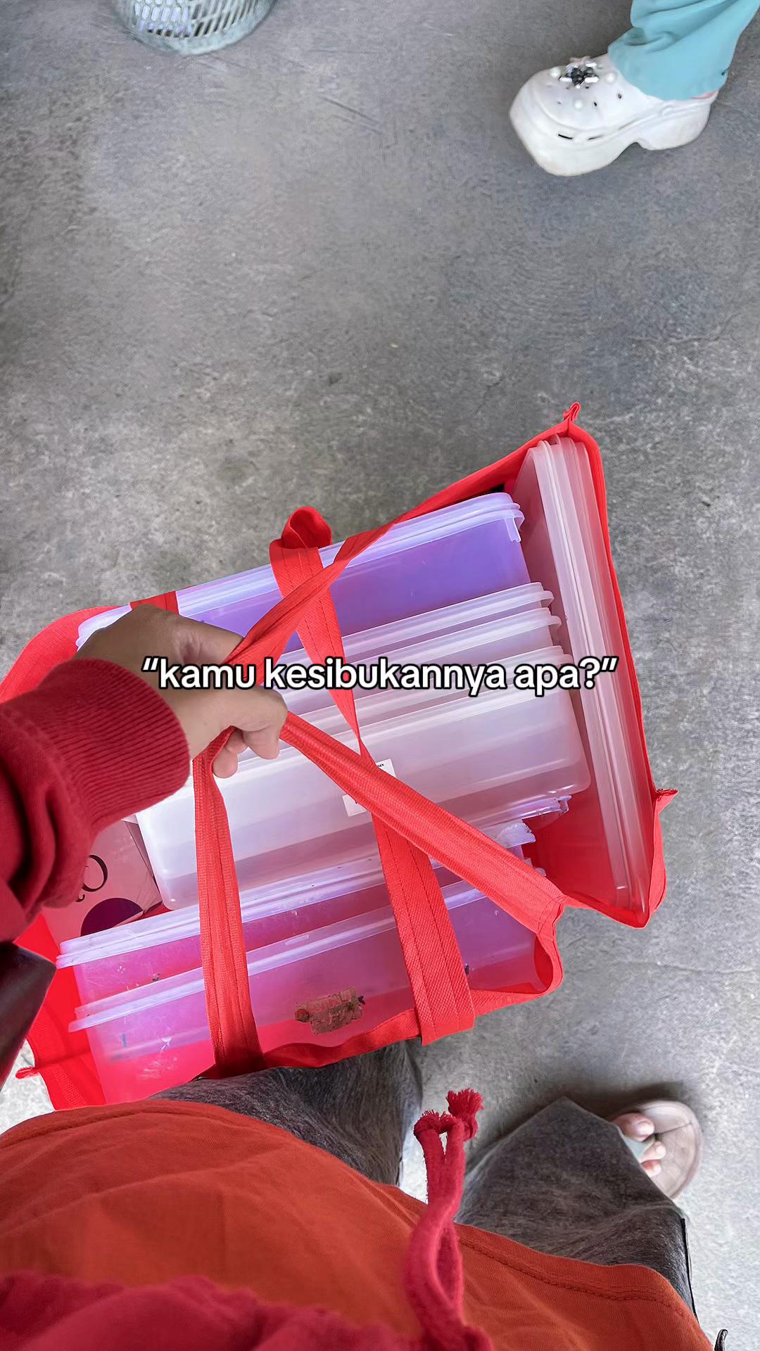 @Frnsd