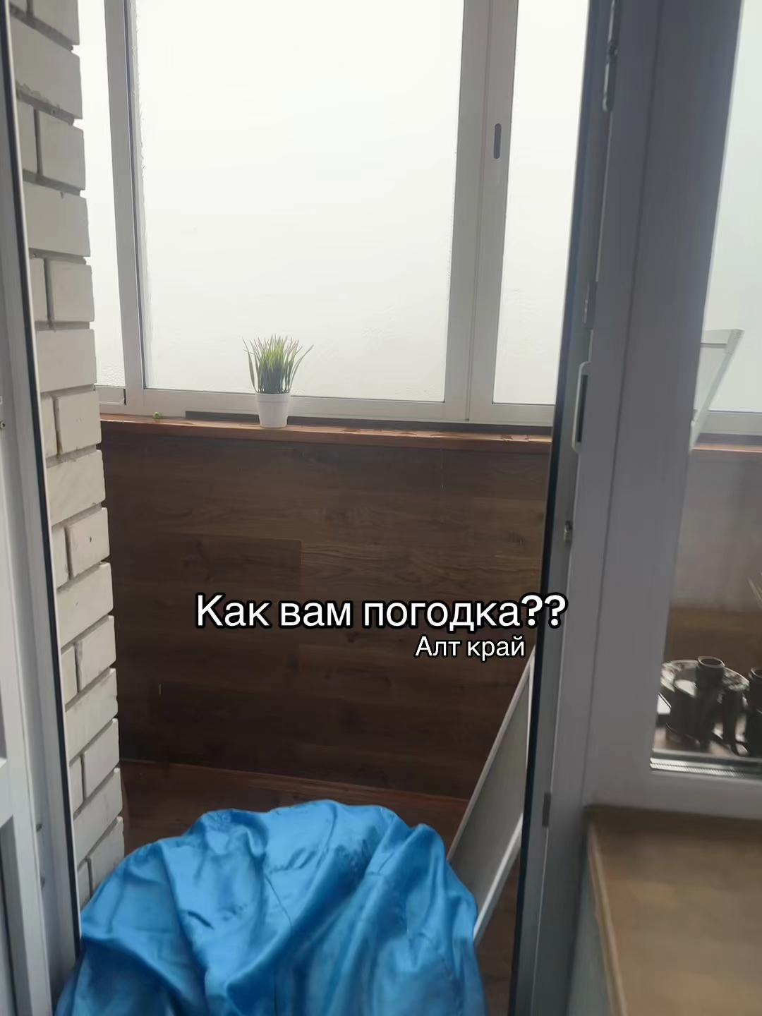 @vilkvetta🩸✝️