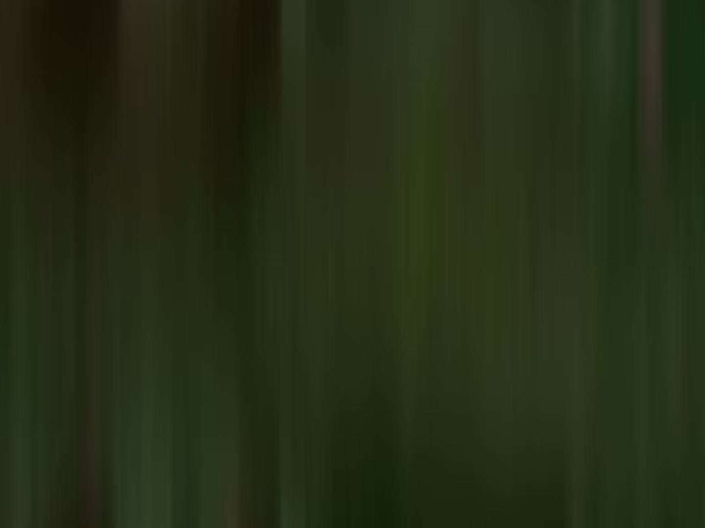 @𝙗𝙧𝙤𝙤𝙠 ♪