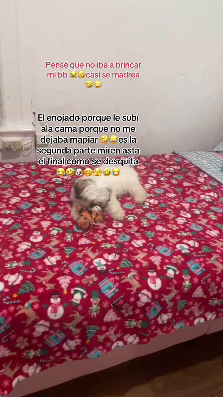 @M&hearts;️💯R🦋g🥰m 12/15/14/27/4🥹
