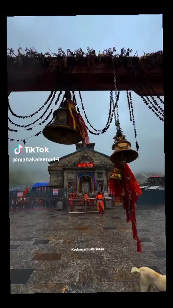 @MADHAV🙏🕉🌎️