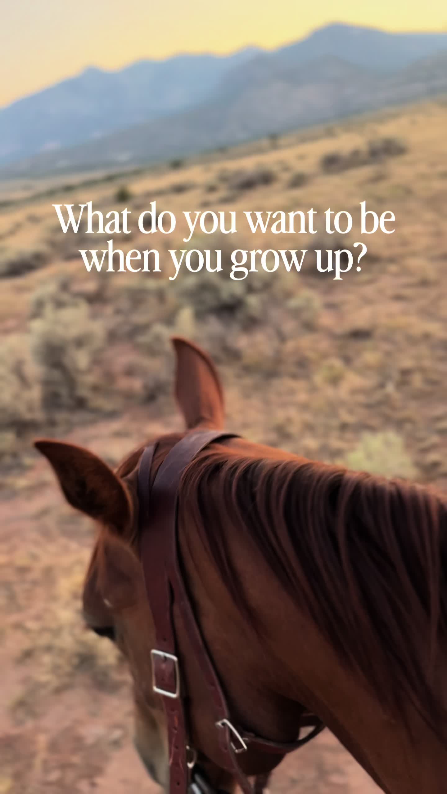 @The Cow Dude