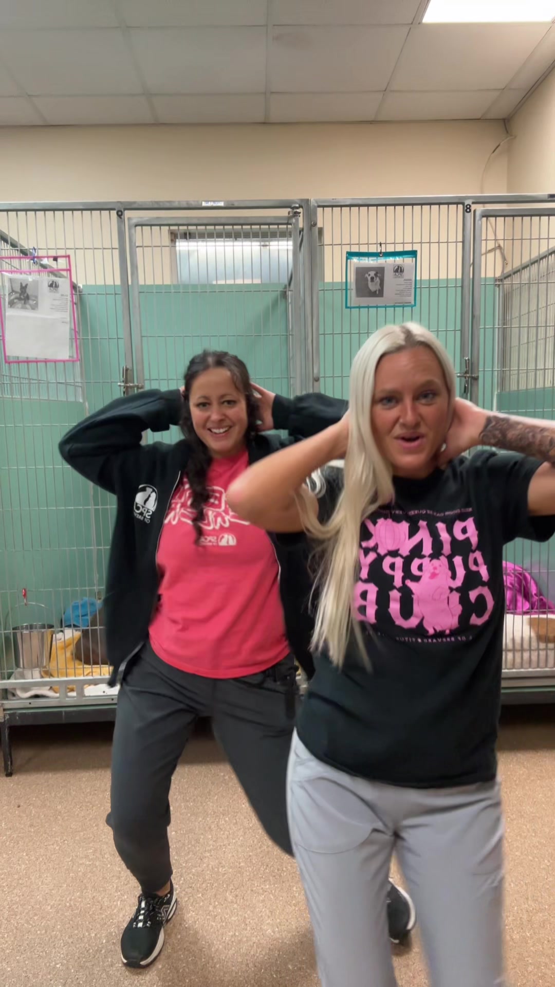@2vettechs