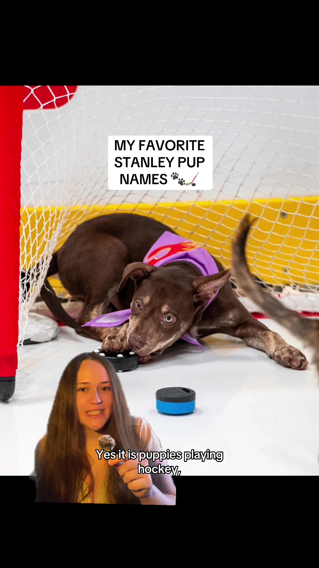 @Sara 🏒 | hockeynbooks