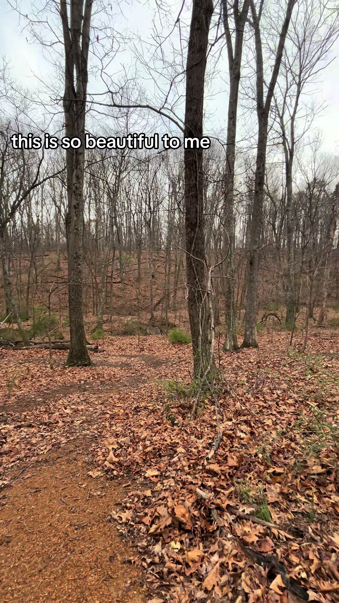 @ૐ echoesdied ૐ
